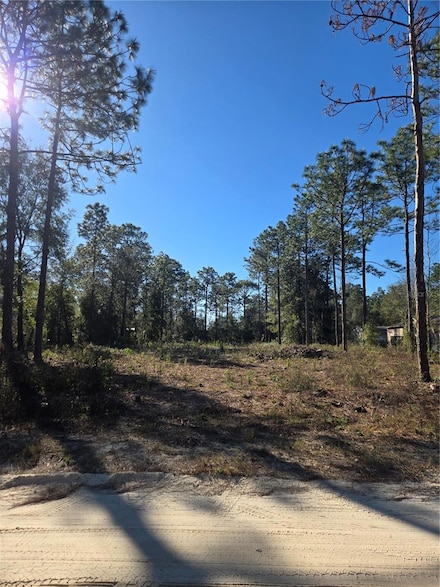 TBD SW 46th St, Dunnellon, FL 34432