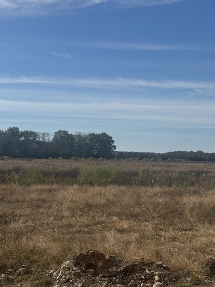 15283 State Highway 99, Eagleville, TN 37060