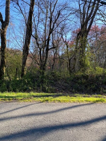 Lot 52+ Yellowbird Trail, Blue Ridge, GA 30513