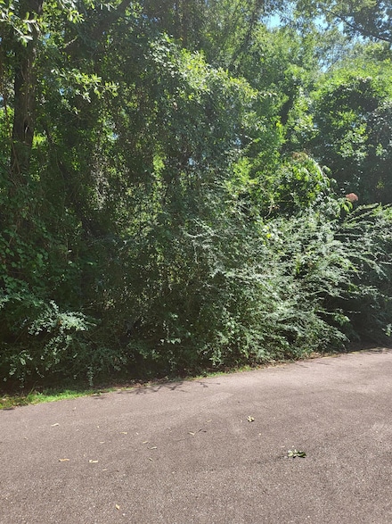 Lot #1047 Edgewood Cir, Carriere, MS 39426