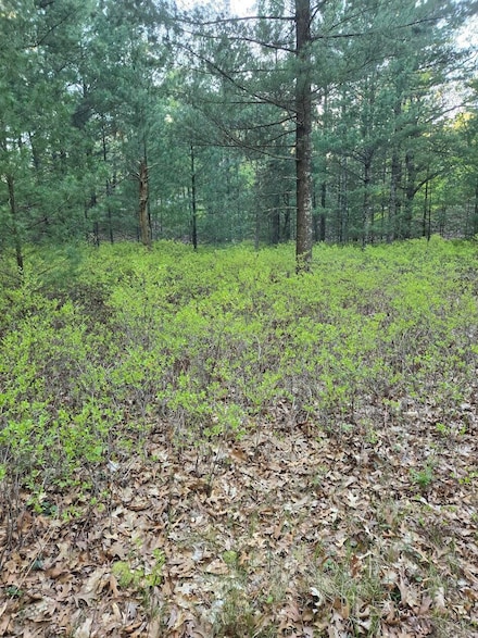 V/L Pentwater Blvd, Pentwater Township, MI 49449