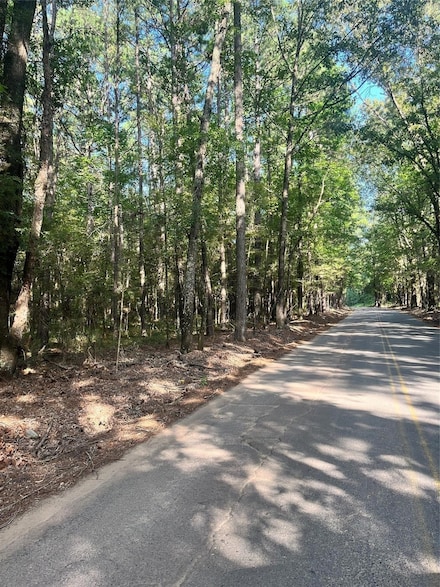 0 Friendship Rd, Frierson, LA 71027