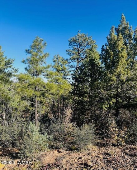 1610 W Snow Creek Trail, Show Low, AZ 85901