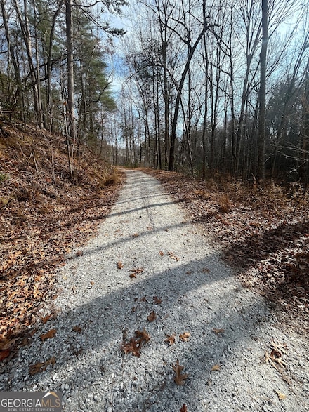 0 Amaryllis Ln Unit 10647717, Tiger, GA 30576