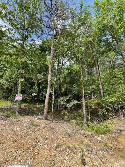 684 Timber Creek Trails South Xl, Broken Bow, OK 74728