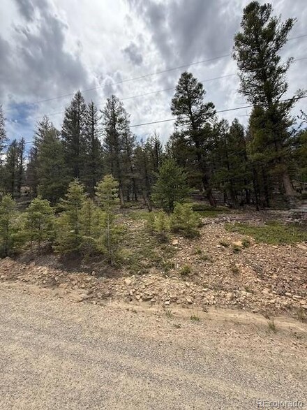 2689 Redhill Rd, Fairplay, CO 80440