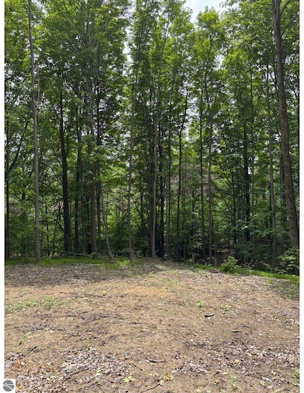 Parcel A No 45 Rd, Manton, MI 49663