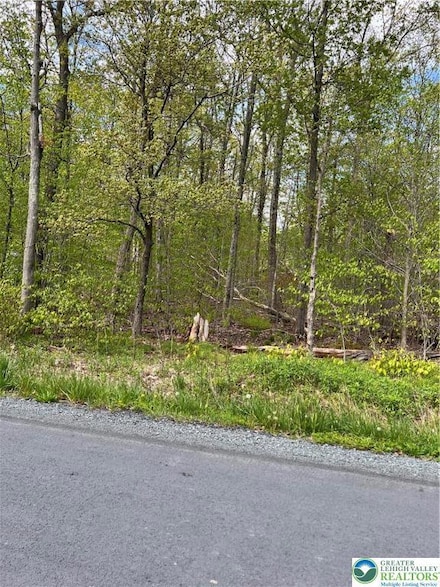 0 Outer Dr Unit 18 757244, Pocono Lake, PA 18347
