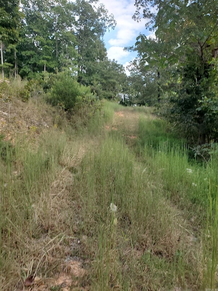 Tract 19 Mountain Crest Rd, Mountain View, AR 72560