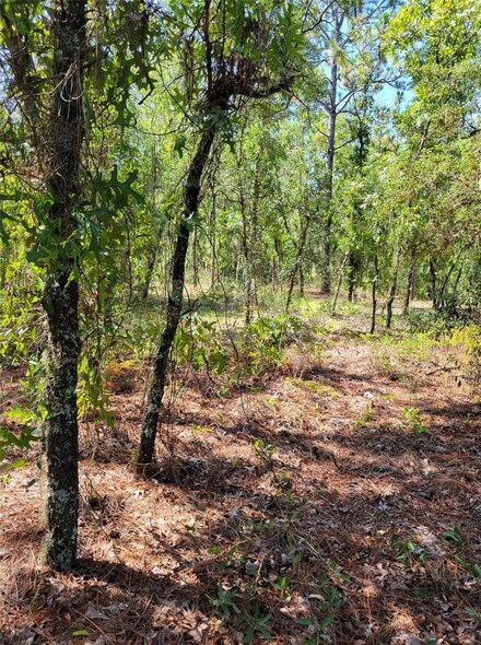 0 SW 93rd St Unit MFROM672947, Dunnellon, FL 34432