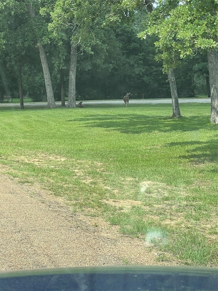 TBD Mistletoe Cir, Somerville, TX 77879