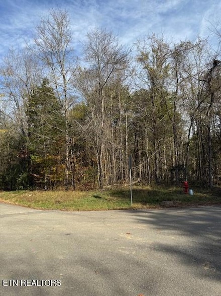 Lot 1023 Cove Ln, Baneberry, TN 37890