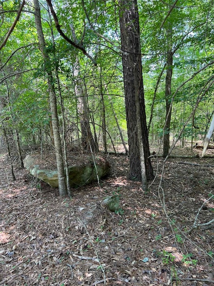0 Crooked Creek Bay Rd Unit 66574, Eatonton, GA 31024