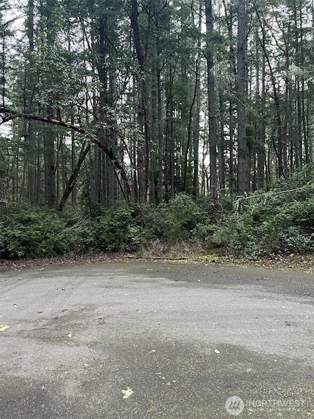 8811 127th Avenue Ct, Anderson Island, WA 98303