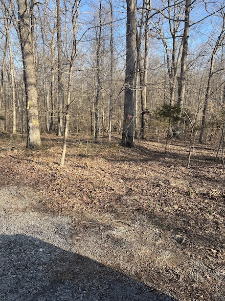 0 Bucksnort Dr, Ashland City, TN 37015