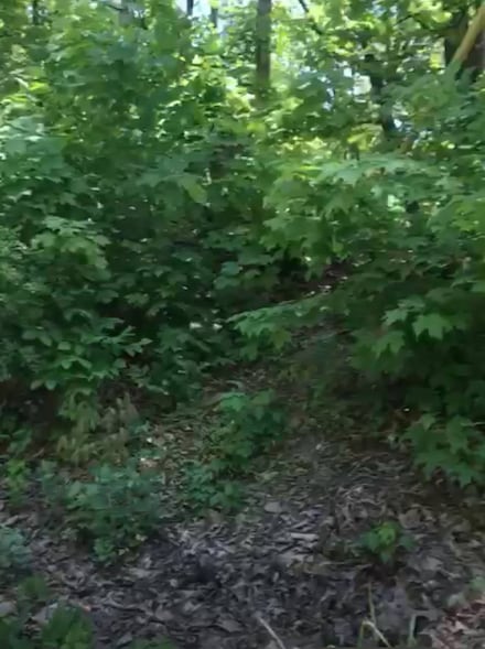 190 Brook Trail, Greenwood Lake, NY 10925