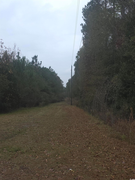 4339 Randall Rd, Conway, SC 29526