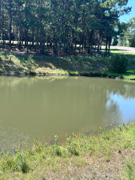 6 Painted Arrow (Lot #43), Lumberton, MS 39455