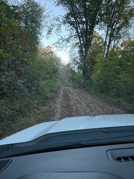 1567 Calf Creek, Inez, KY 41224