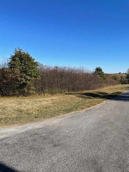 Lot 1 Stonegate Subdivision, Ash Grove, MO 65604
