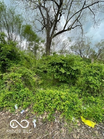 3128 N Euclid Ave, Indianapolis, IN 46218