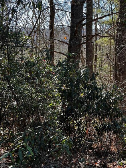 21 Wildcat Ln, Cashiers, NC 28717