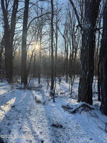 L5.022 Charlton Rd, Charlton, NY 12302