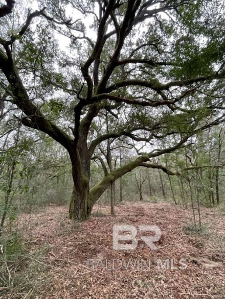 9847 County Road 99 Unit Lot 6, Lillian, AL 36549