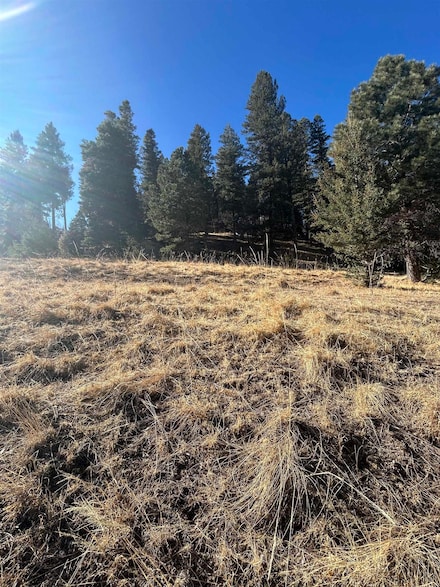 0 Trading Post Rd Unit 66 170435, Cloudcroft, NM 88317