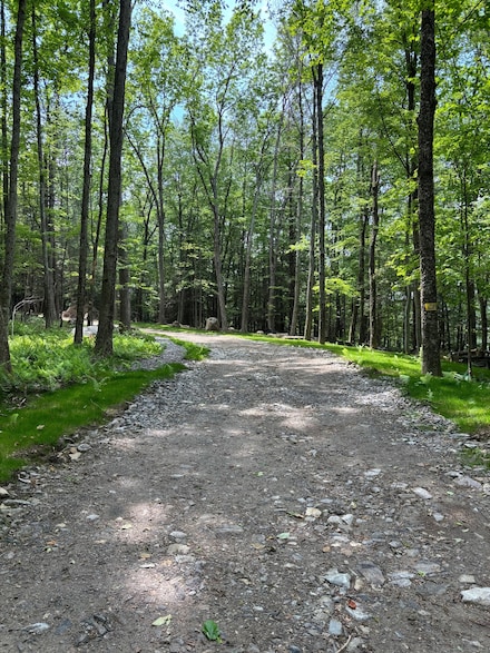 Lot 4 Chalybes Rd W, Roxbury, CT 06783