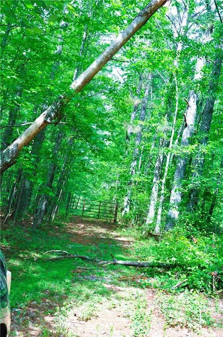 00 Coppermine Rd, Buchanan, GA 30113