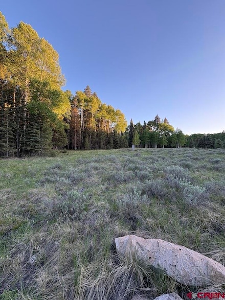 2150 Spruce Rd, Cimarron, CO 81220