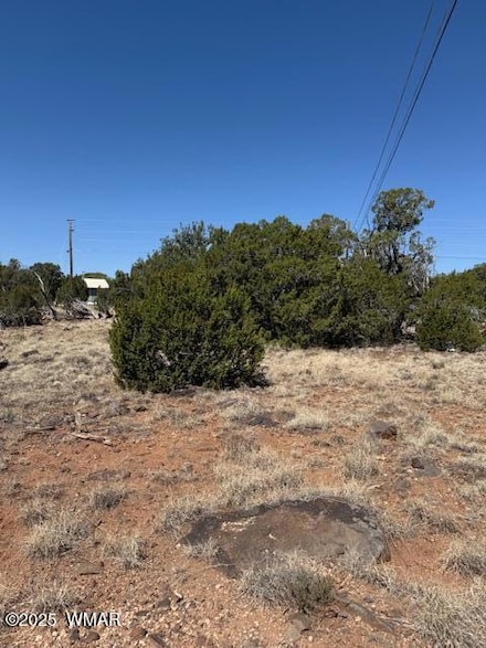 1860 Rainbow Cir, Show Low, AZ 85901