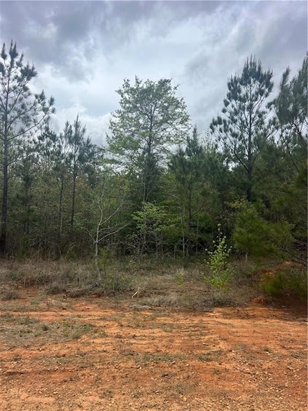 Tract 1 Scotts Path None, Pollock, LA 71467