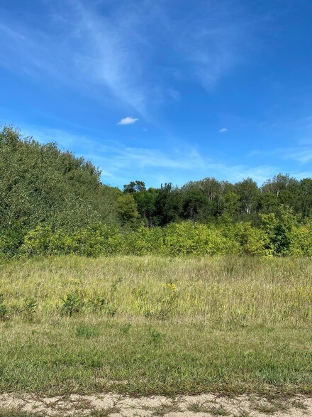 17980 Meadow Cir, Audubon, MN 56511
