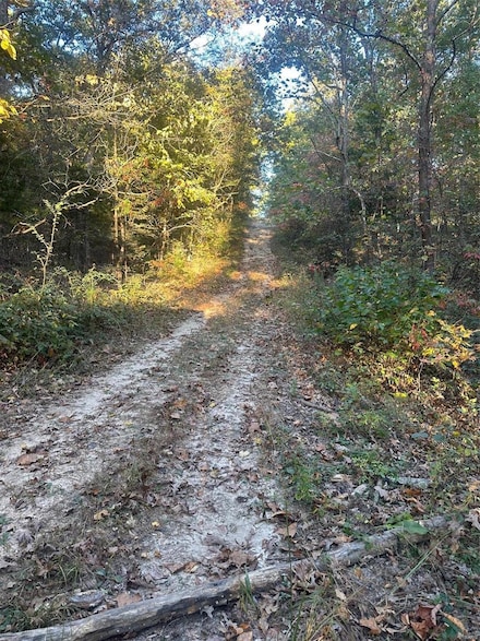 0 Blackrock Rd Unit MAR24066883, Potosi, MO 63664