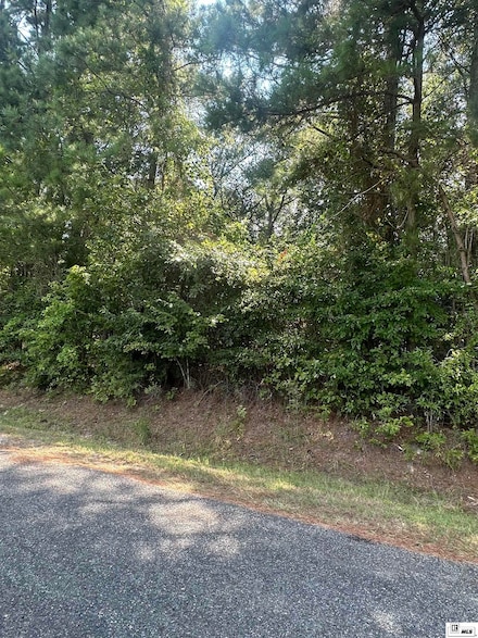 000 Haven Loop, Chatham, LA 71226