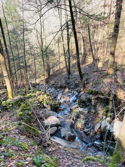 0 Bluff Ln, Wilder, TN 38589