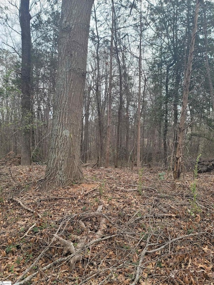 0 Thompson Dr, Greenville, SC 29607