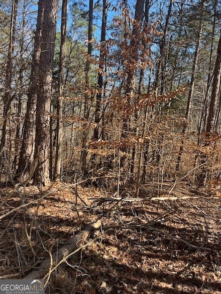 138 Tulip Ln, Chickasaw Point, SC 29693