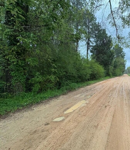 TBD J S Jones Rd, Graceville, FL 32440