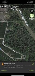 Tract 9 Ibis Ln, Abbeville, GA 31001