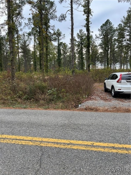 20609 Beaver Dam Rd, Beaverdam, VA 23015
