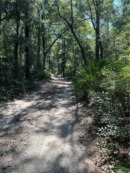 00 Georgia 110, Hortense, GA 31543