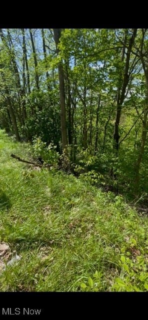 0 Lisbon St, East Liverpool, OH 43920