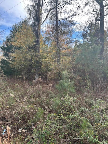89 Jerusalem Dr, Kingstree, SD 29556