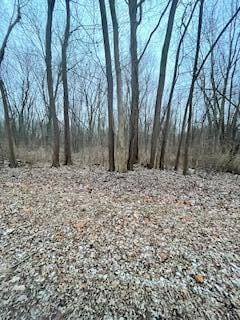 0 Linden Dr, Royalton Township, MI 49085