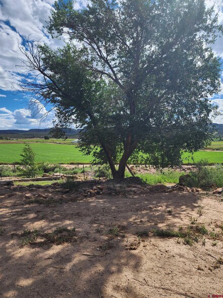 15869 Shavano Valley Rd, Montrose, CO 81403