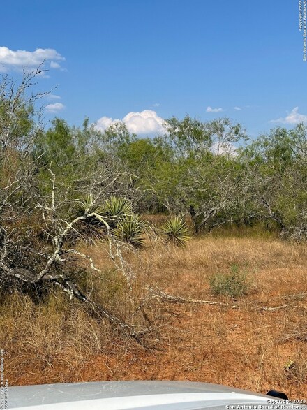 5986, Stockdale, TX 78160