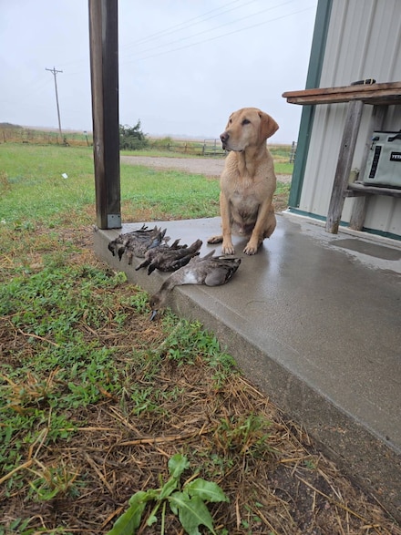 1820 Road 6, Grafton, NE 68365